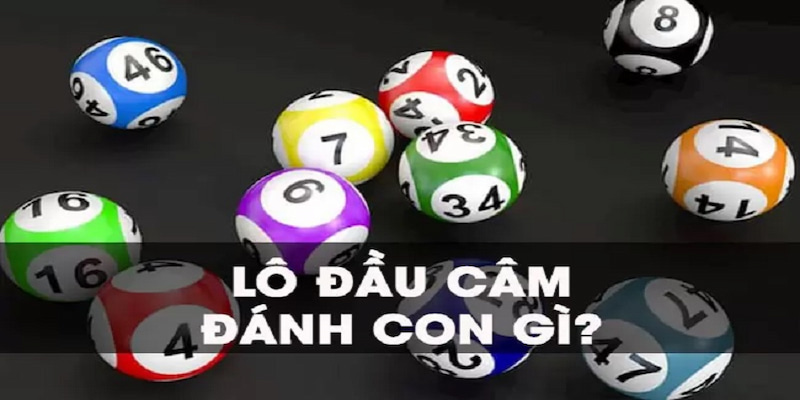 Những bộ số có xác xuất trúng lớn tại KUBET