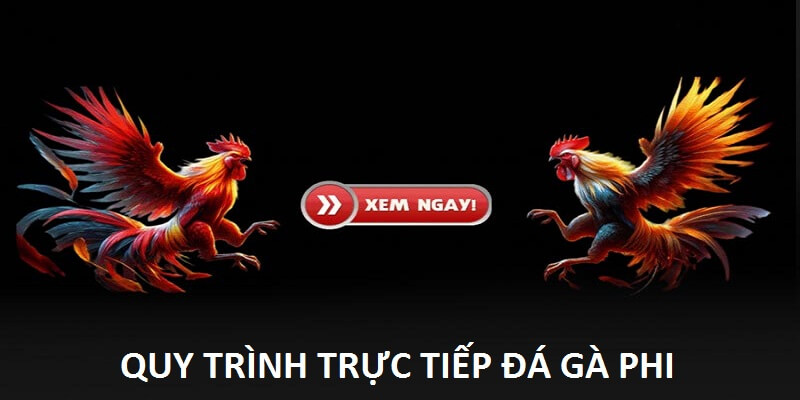 Quy trình diễn ra trực tiếp đá gà Phi